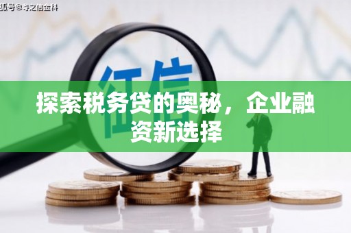 卑南探索税务贷的奥秘，企业融资新选择