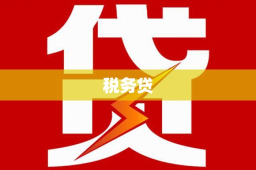 卑南税务贷