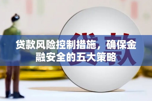 卑南贷款风险控制措施，确保金融安全的五大策略