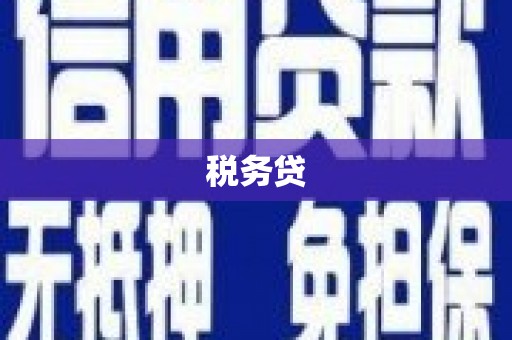 卑南税务贷