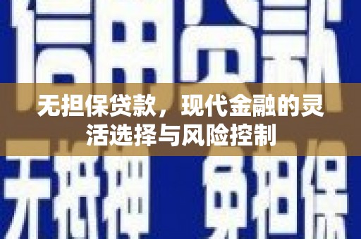 卑南无担保贷款，现代金融的灵活选择与风险控制