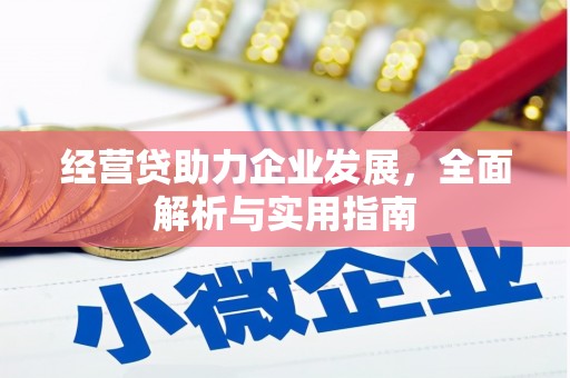 卑南经营贷助力企业发展，全面解析与实用指南