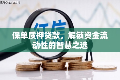 卑南保单质押贷款，解锁资金流动性的智慧之选