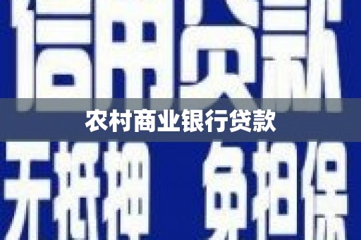 卑南农村商业银行贷款