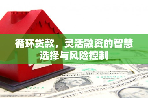 卑南循环贷款，灵活融资的智慧选择与风险控制