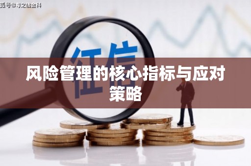 卑南风险管理的核心指标与应对策略