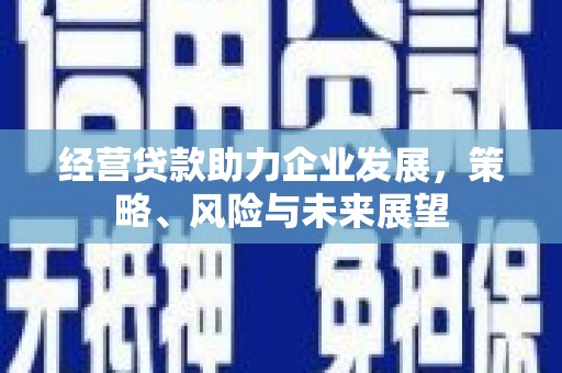 卑南经营贷款助力企业发展，策略、风险与未来展望