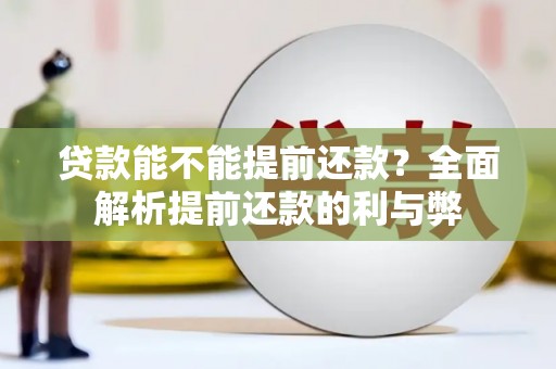 卑南贷款能不能提前还款？全面解析提前还款的利与弊
