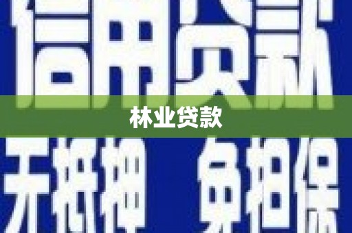 卑南林业贷款