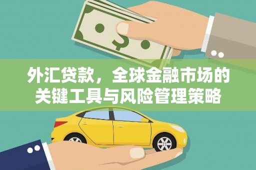 卑南外汇贷款，全球金融市场的关键工具与风险管理策略