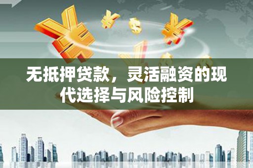 卑南无抵押贷款，灵活融资的现代选择与风险控制