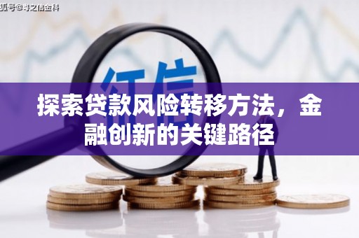 卑南探索贷款风险转移方法，金融创新的关键路径