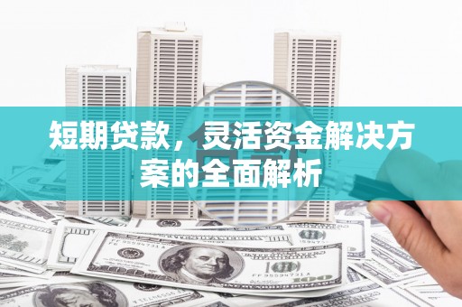 卑南短期贷款，灵活资金解决方案的全面解析
