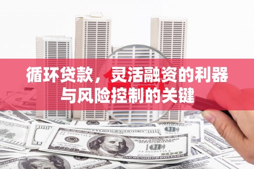 卑南循环贷款，灵活融资的利器与风险控制的关键