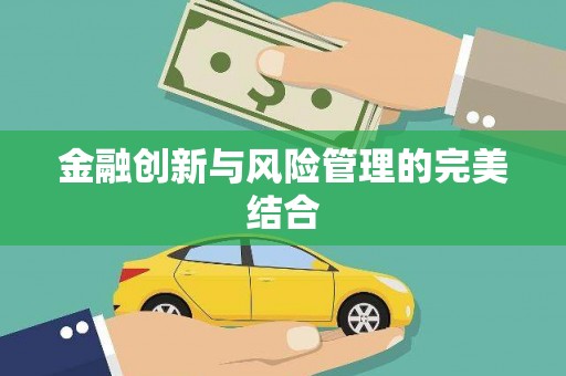 卑南金融创新与风险管理的完美结合