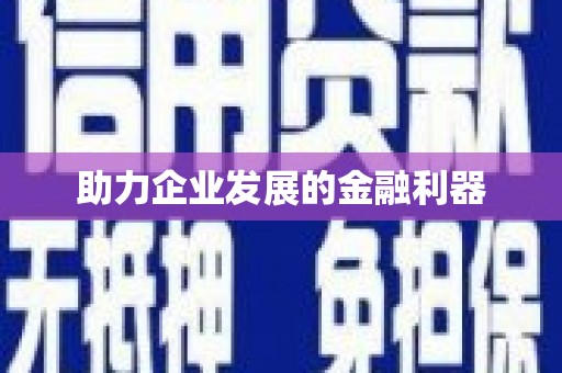 卑南助力企业发展的金融利器