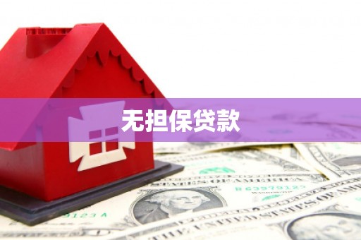 卑南无担保贷款