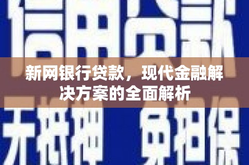 卑南新网银行贷款，现代金融解决方案的全面解析