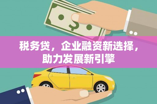 卑南税务贷，企业融资新选择，助力发展新引擎