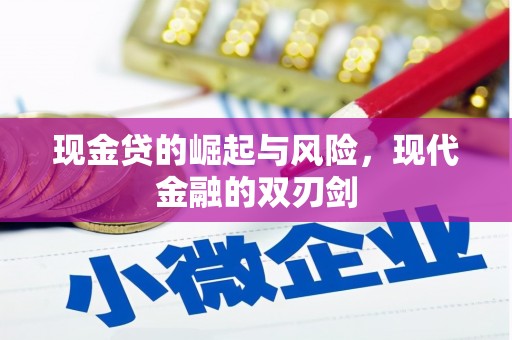 卑南现金贷的崛起与风险，现代金融的双刃剑