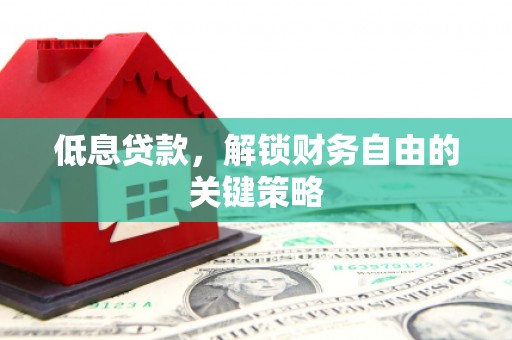 卑南低息贷款，解锁财务自由的关键策略