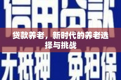 卑南贷款养老，新时代的养老选择与挑战
