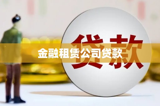 卑南金融租赁公司贷款
