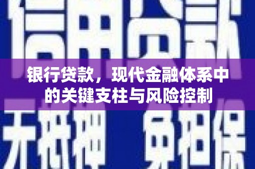 卑南银行贷款，现代金融体系中的关键支柱与风险控制