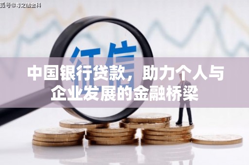 卑南中国银行贷款，助力个人与企业发展的金融桥梁