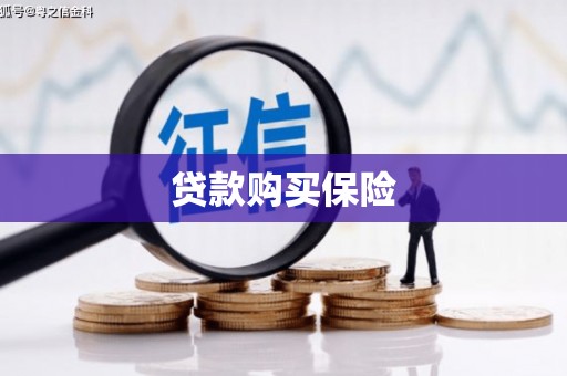 卑南贷款购买保险