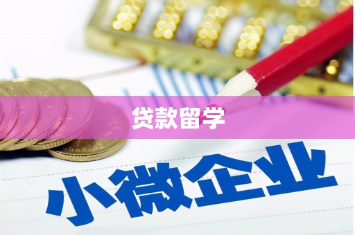 卑南贷款留学