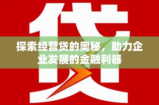 卑南探索经营贷的奥秘，助力企业发展的金融利器