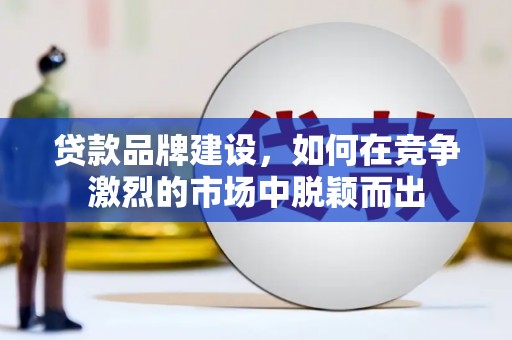 卑南贷款品牌建设，如何在竞争激烈的市场中脱颖而出