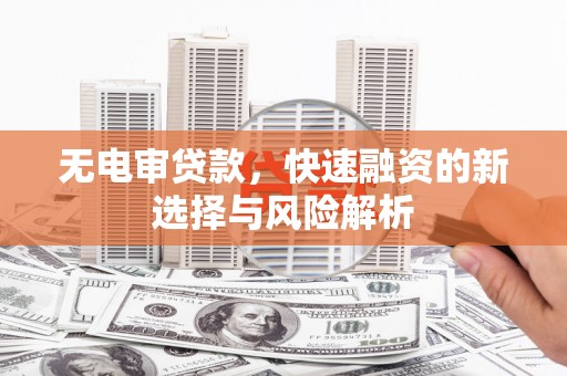 卑南无电审贷款，快速融资的新选择与风险解析