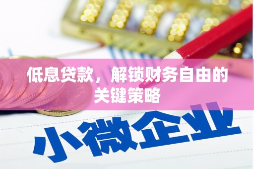 卑南低息贷款，解锁财务自由的关键策略