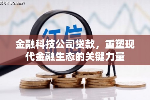 卑南金融科技公司贷款，重塑现代金融生态的关键力量