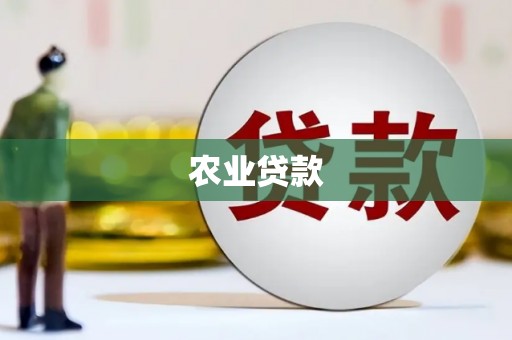 卑南农业贷款
