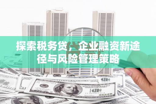 卑南探索税务贷，企业融资新途径与风险管理策略