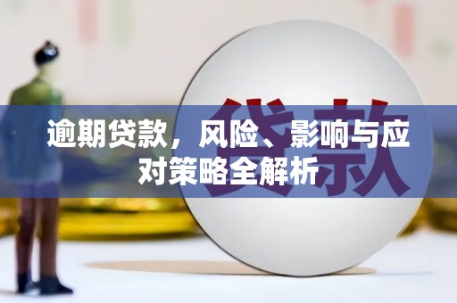 卑南逾期贷款，风险、影响与应对策略全解析
