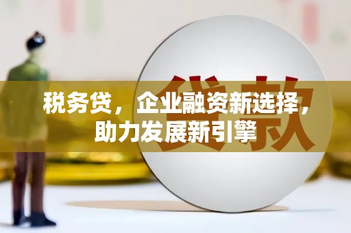 卑南税务贷，企业融资新选择，助力发展新引擎