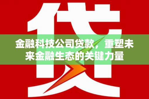 卑南金融科技公司贷款，重塑未来金融生态的关键力量