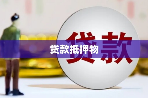 卑南贷款抵押物