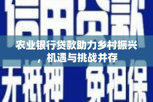 卑南农业银行贷款助力乡村振兴，机遇与挑战并存