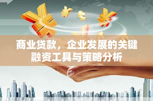 卑南商业贷款，企业发展的关键融资工具与策略分析