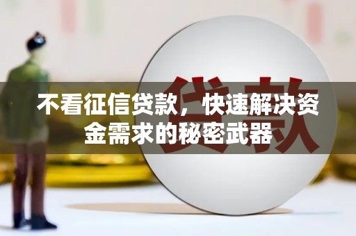 卑南不看征信贷款，快速解决资金需求的秘密武器