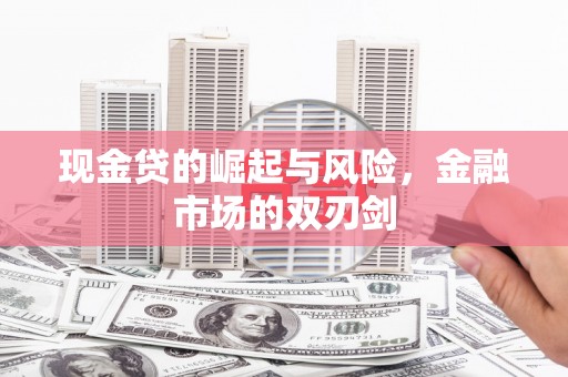 卑南现金贷的崛起与风险，金融市场的双刃剑