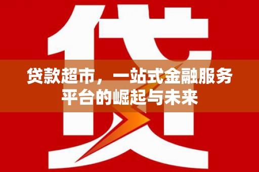 卑南贷款超市，一站式金融服务平台的崛起与未来