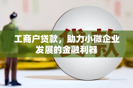 卑南工商户贷款，助力小微企业发展的金融利器