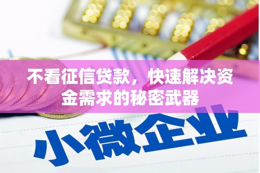 卑南不看征信贷款，快速解决资金需求的秘密武器