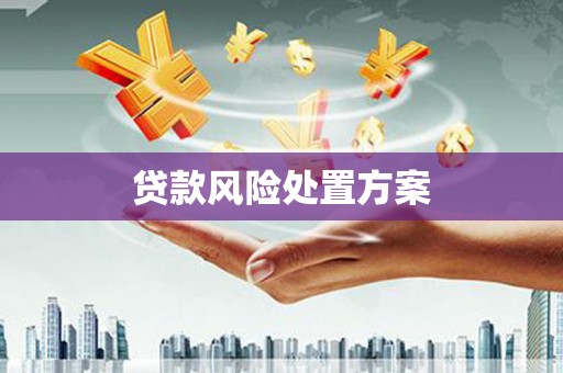 卑南贷款风险处置方案